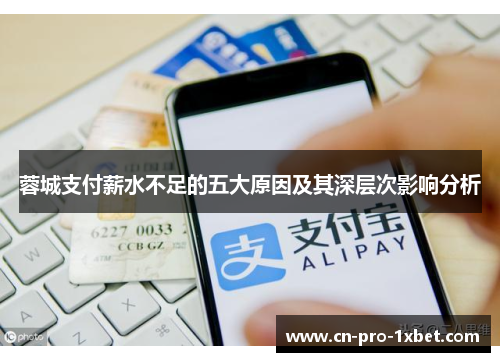 蓉城支付薪水不足的五大原因及其深层次影响分析