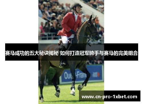 赛马成功的五大秘诀揭秘 如何打造冠军骑手与赛马的完美组合