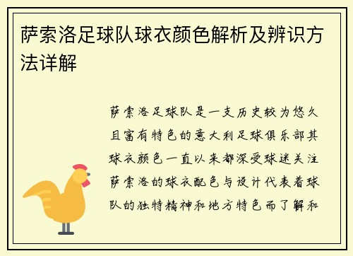 萨索洛足球队球衣颜色解析及辨识方法详解
