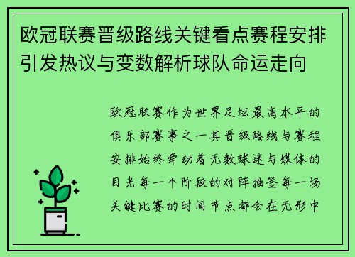 欧冠联赛晋级路线关键看点赛程安排引发热议与变数解析球队命运走向