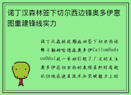 诺丁汉森林签下切尔西边锋奥多伊意图重建锋线实力
